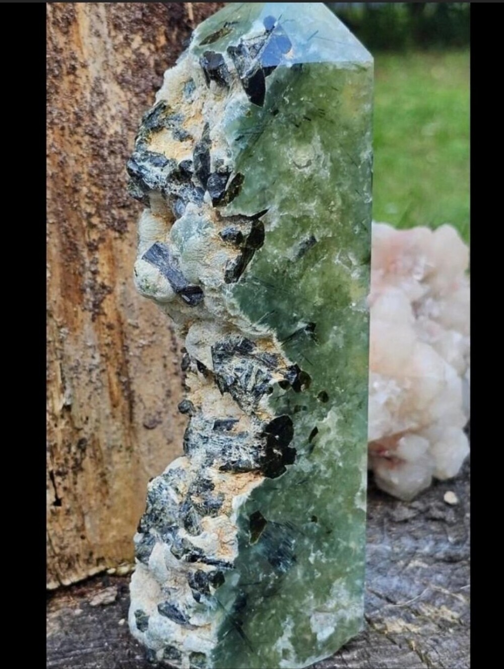 ✨️XL Multi-Mineral Paragenesis Prehnite Half Raw/Polished-Huge Statement Decor